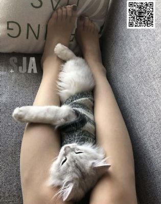 扫一扫识别情头软件在线_DVD在线观看完整版