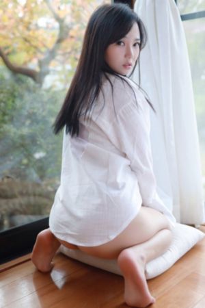 《诱人的飞行》在线观看_DVD免费电视剧